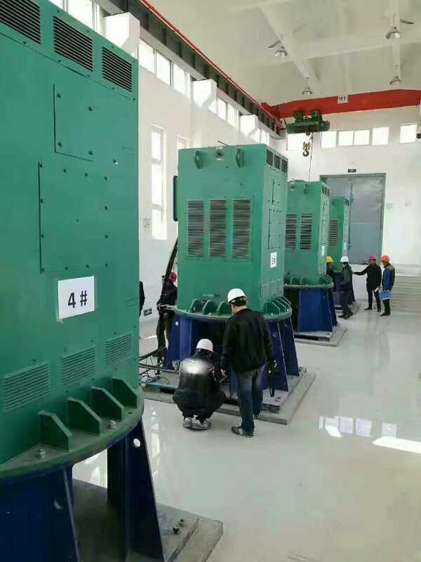 户县某污水处理厂使用我厂的立式高压电机安装现场
